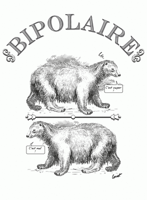 Carte humour Ours polaires Bipolaire